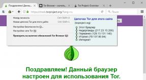 Tor Browser Bundle для безопасного и анонимного использования Интернета